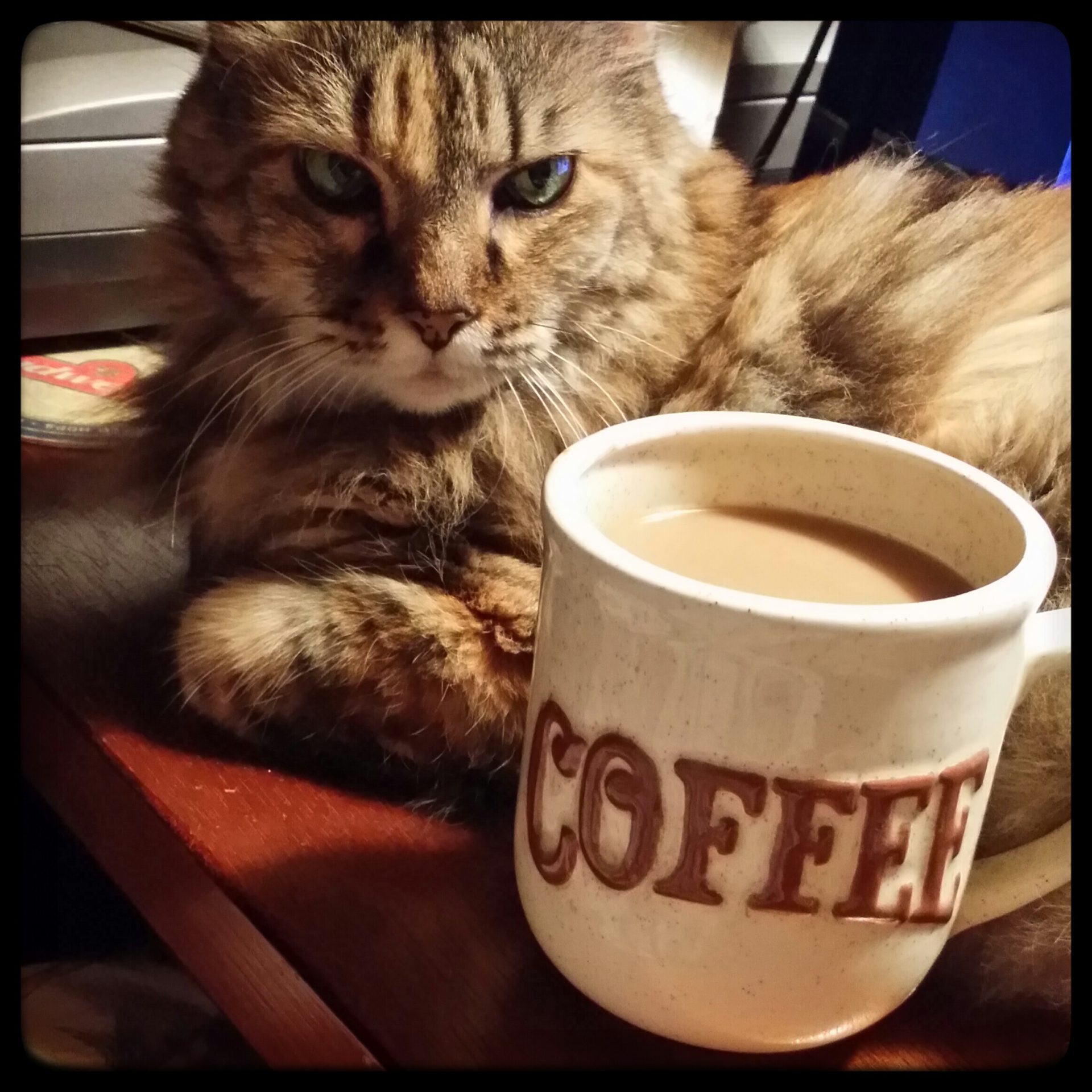 It’s raining too much for me to think of what to say this morning