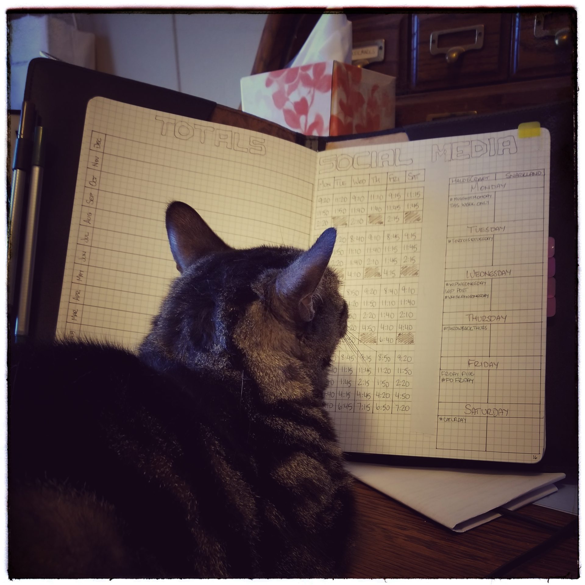 March Meet the Maker 2018: Days 16-20