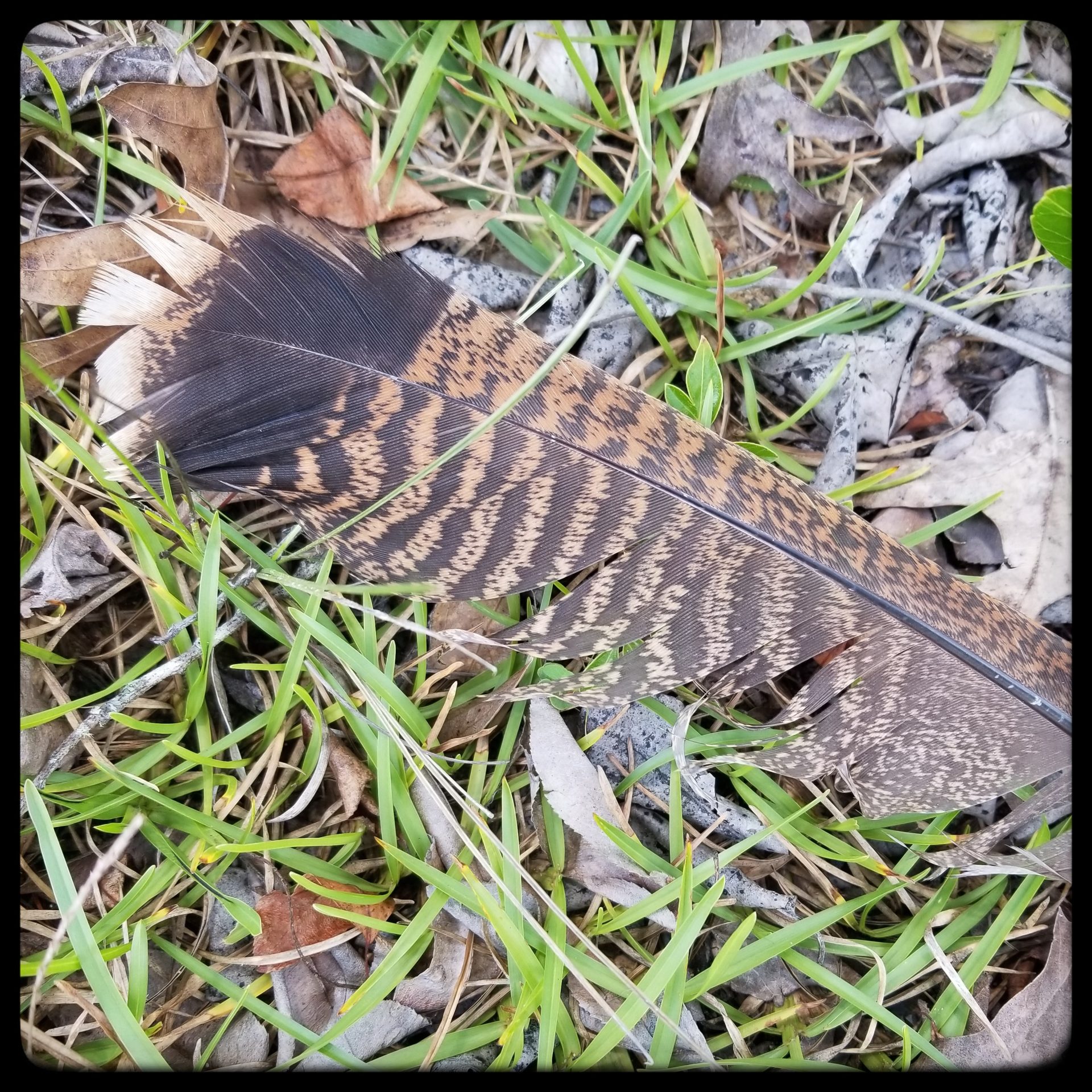 Was that just one day yesterday?