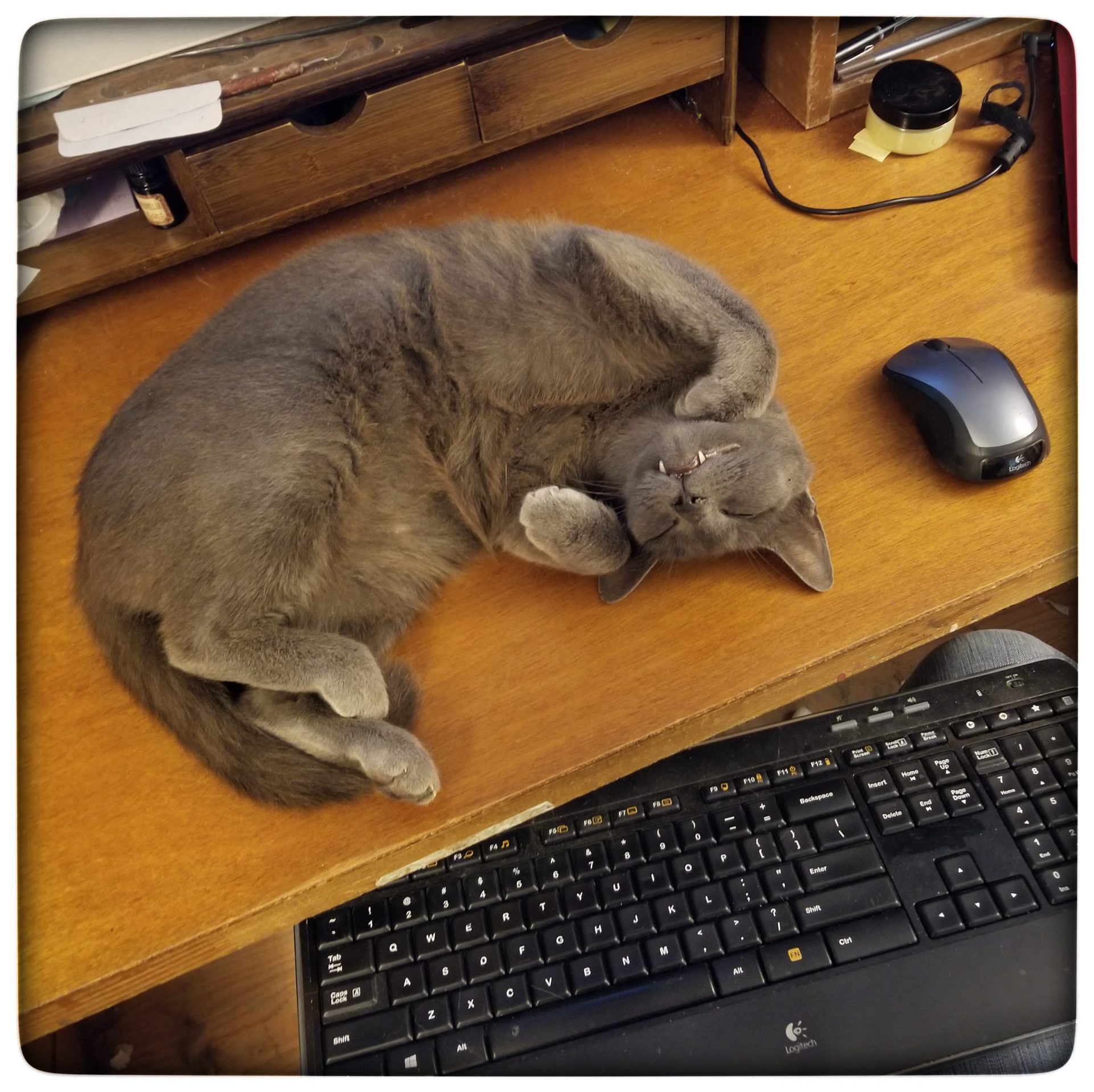 Some days it’s harder to get work done than others