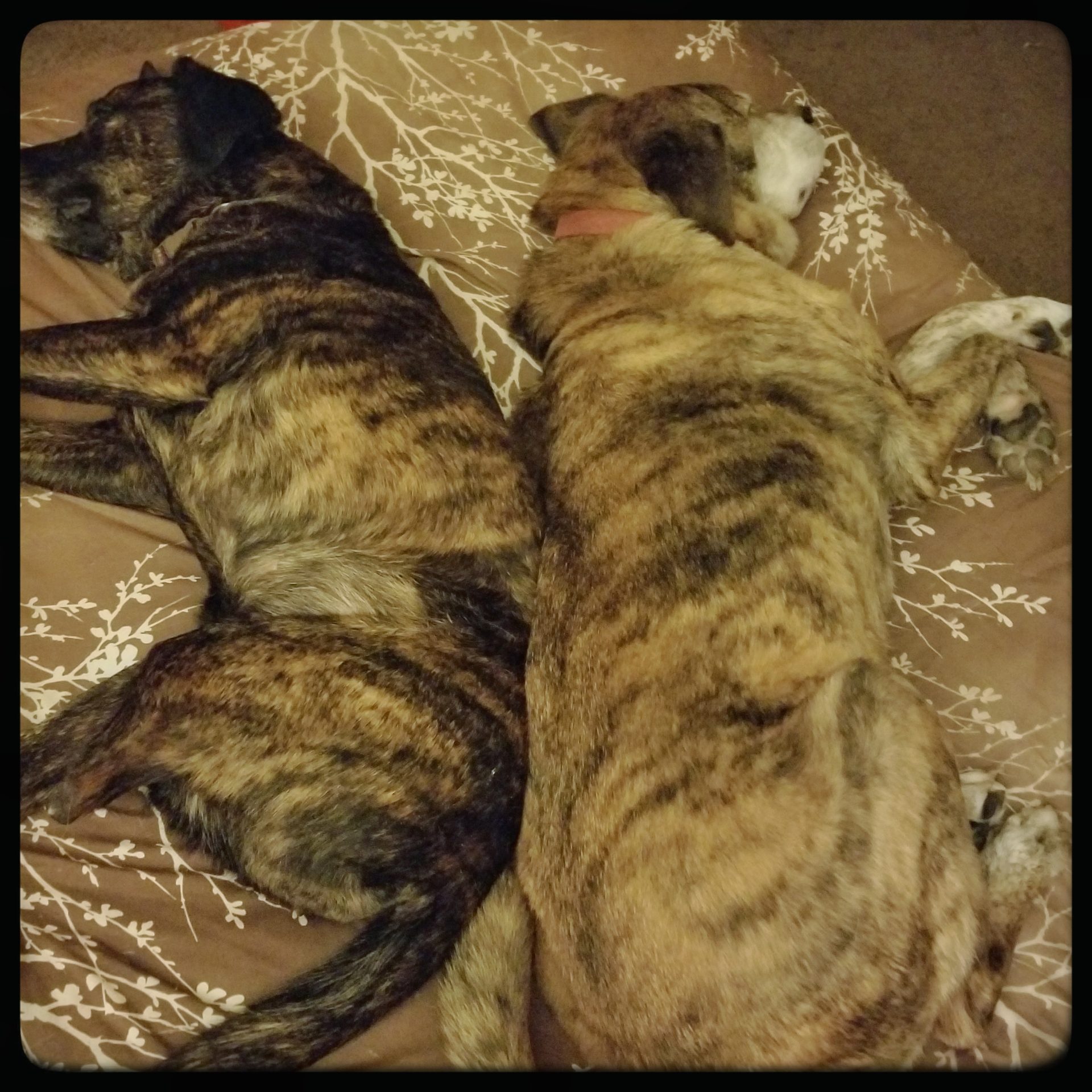 Summer in the Sunshine State