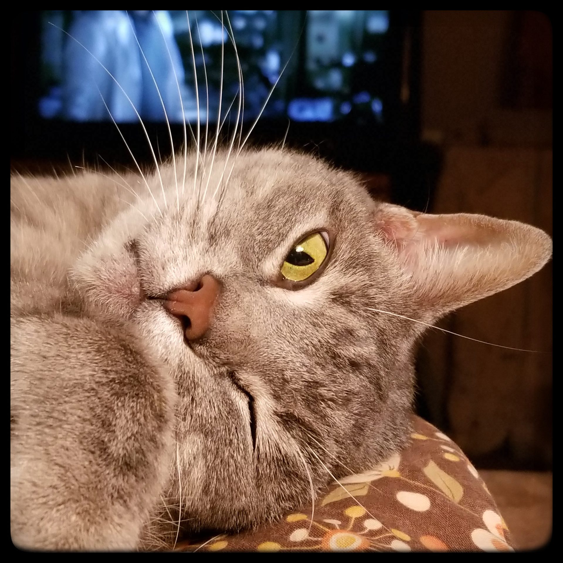 I think someone stole my day