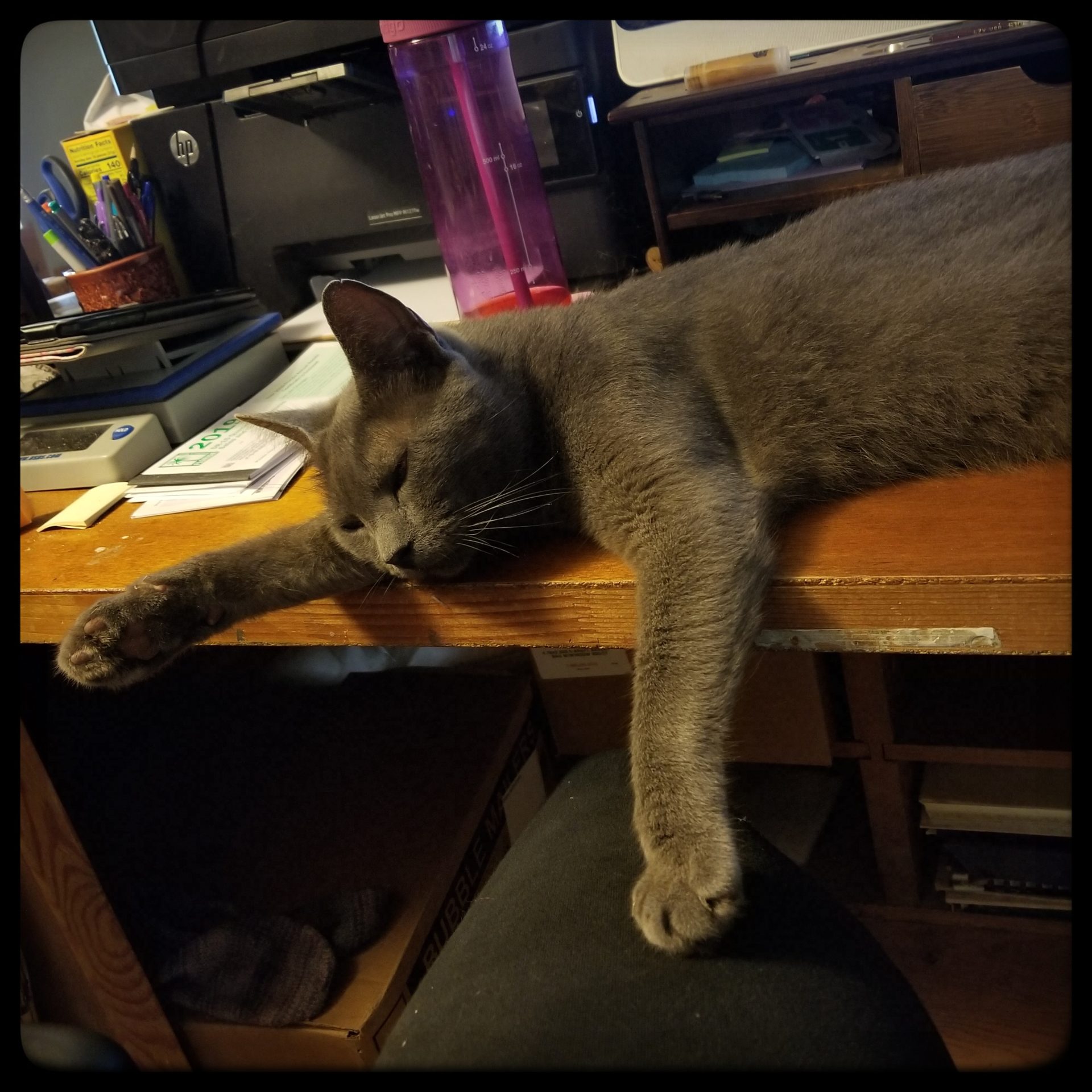 Was last week only a week long?