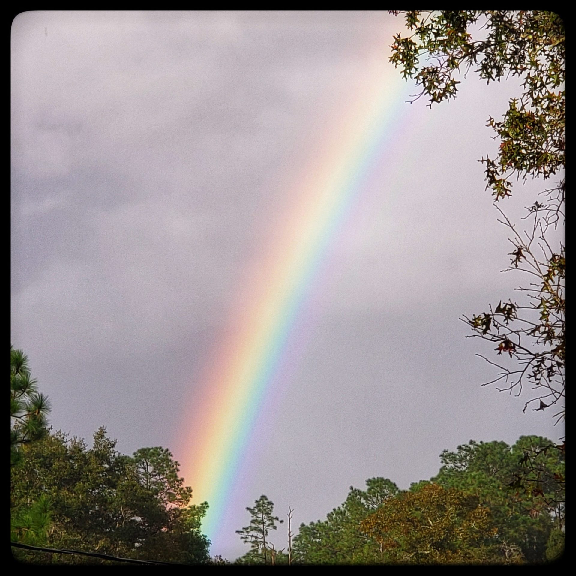 I am a rock; I am an island