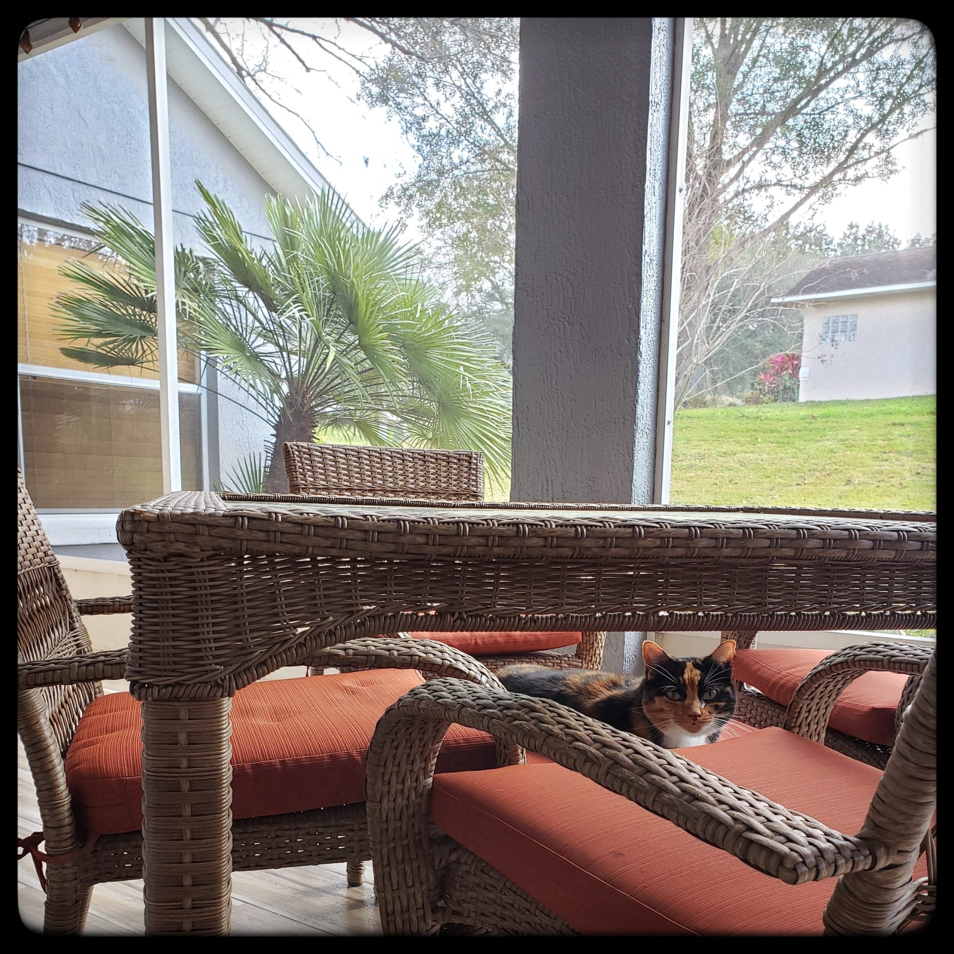 A good couple of days