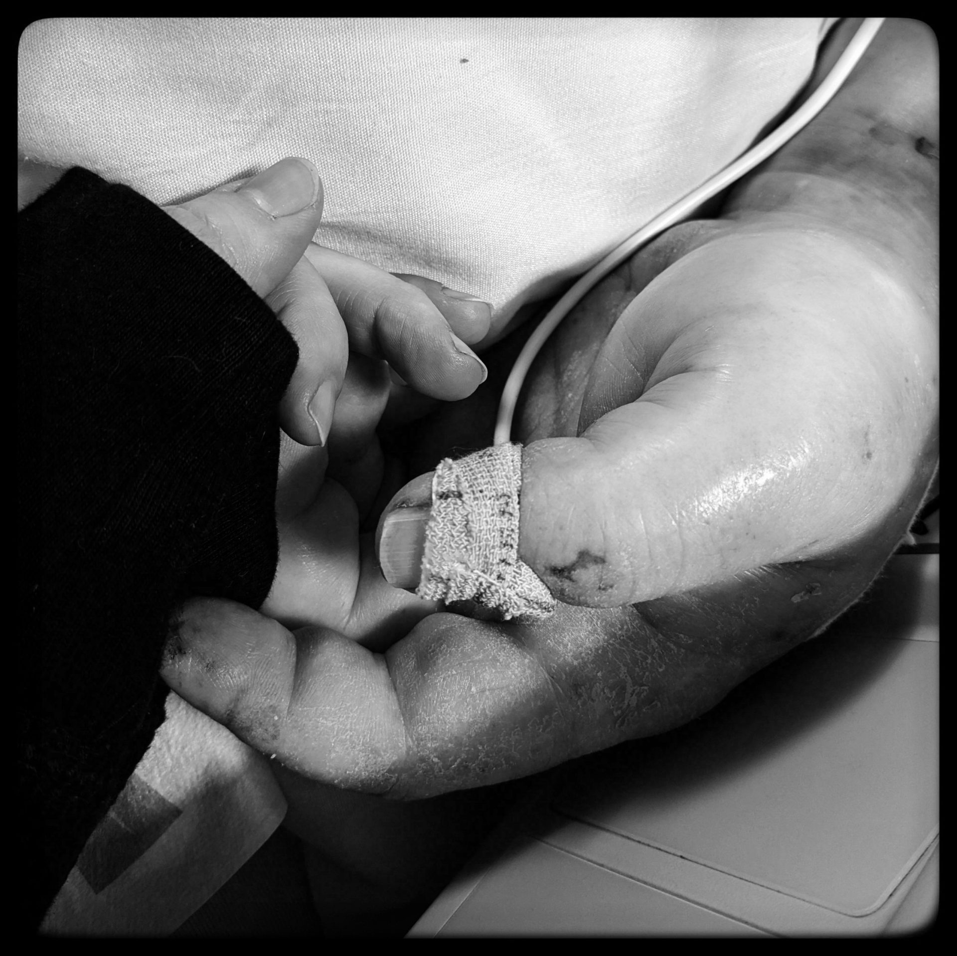 1095 Days of Being a Widow