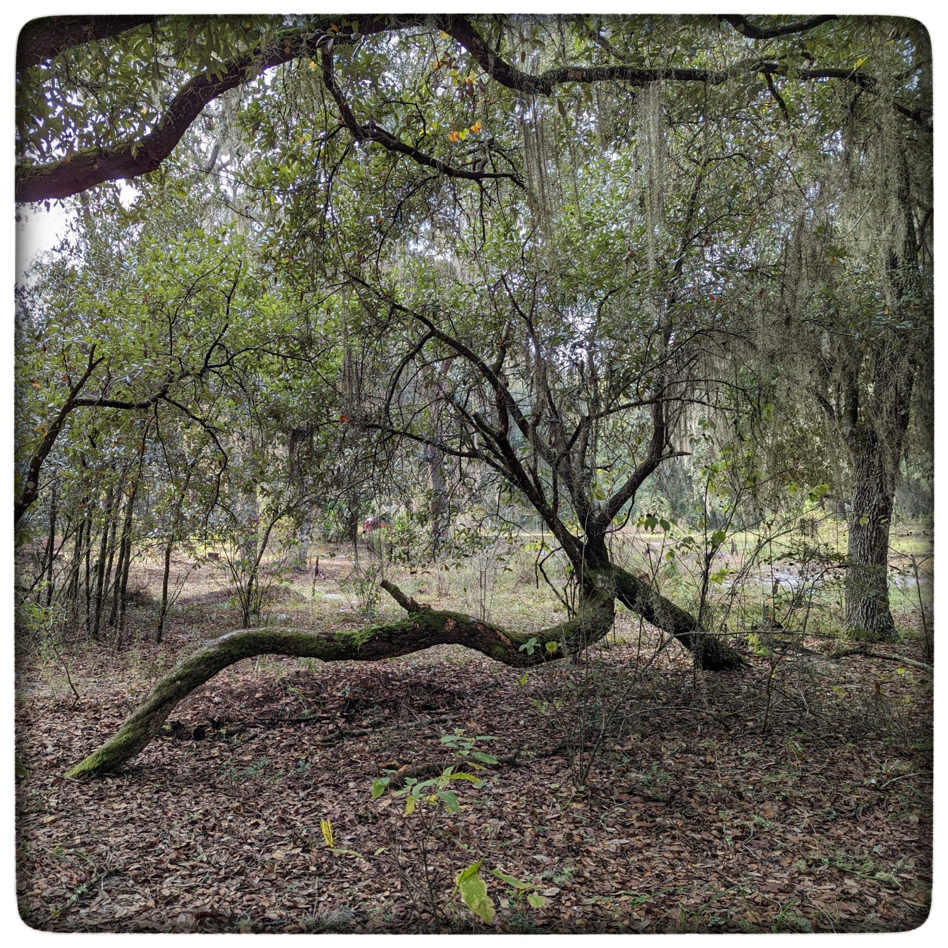 The one about a triple-header funeral