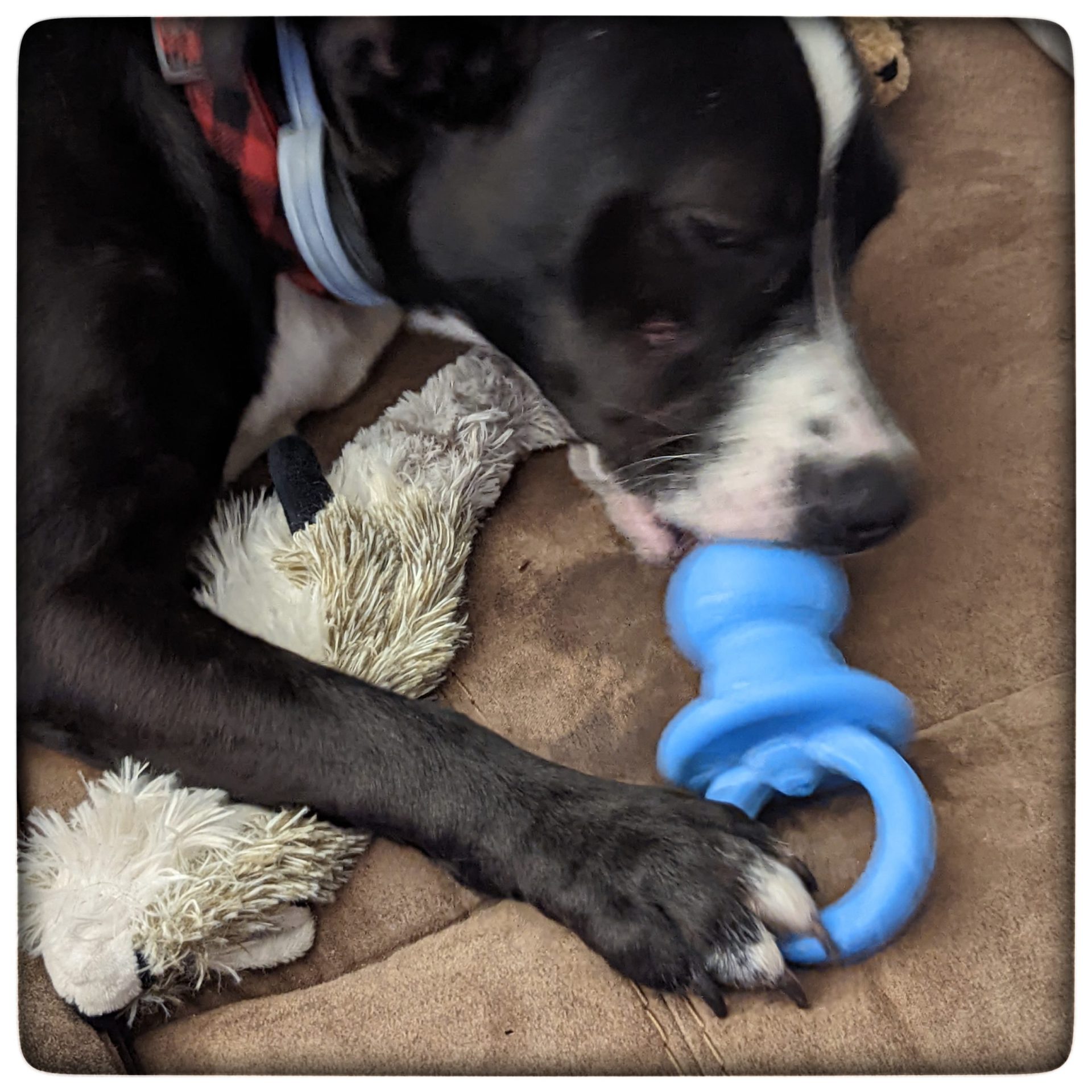 The best day of my life