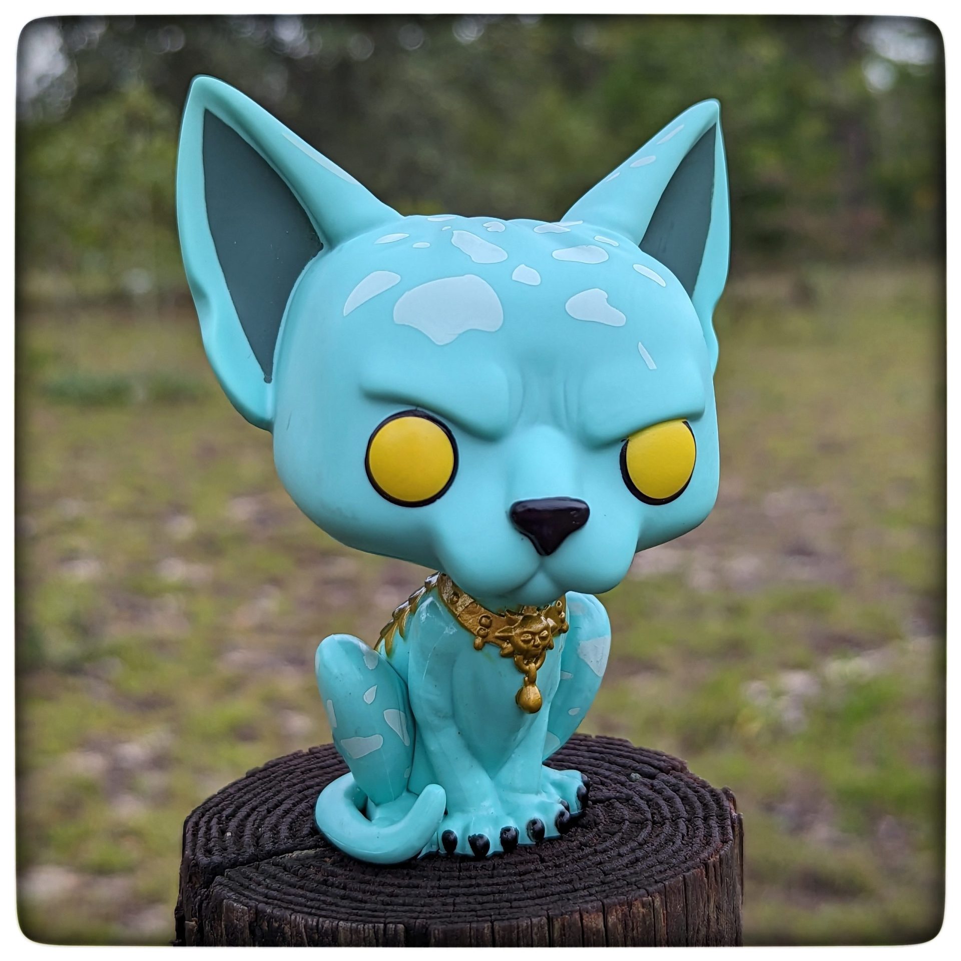 I love my pets but boy howdy do they stress me out sometimes