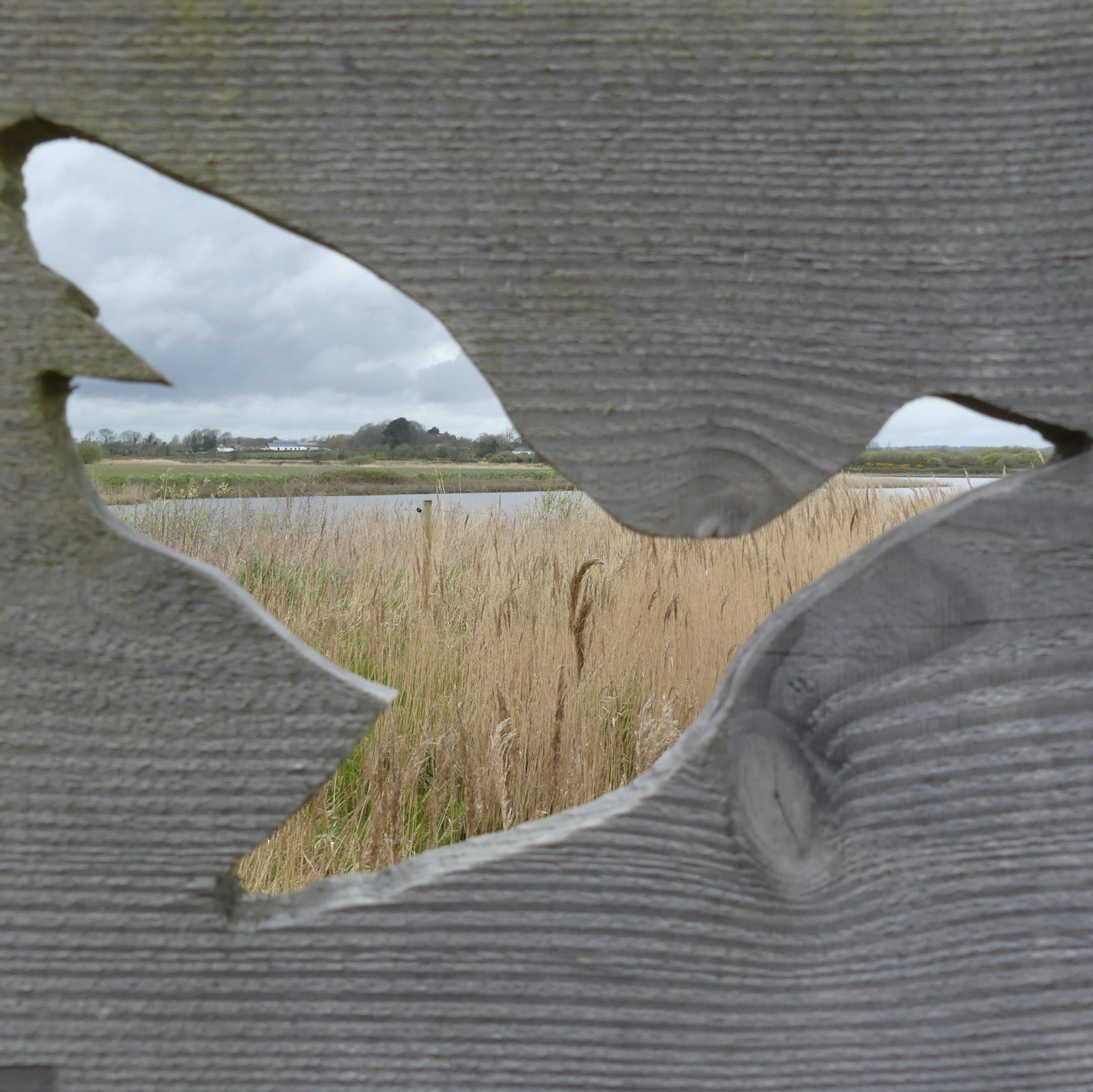 The Wexford Wildfowl Reserve