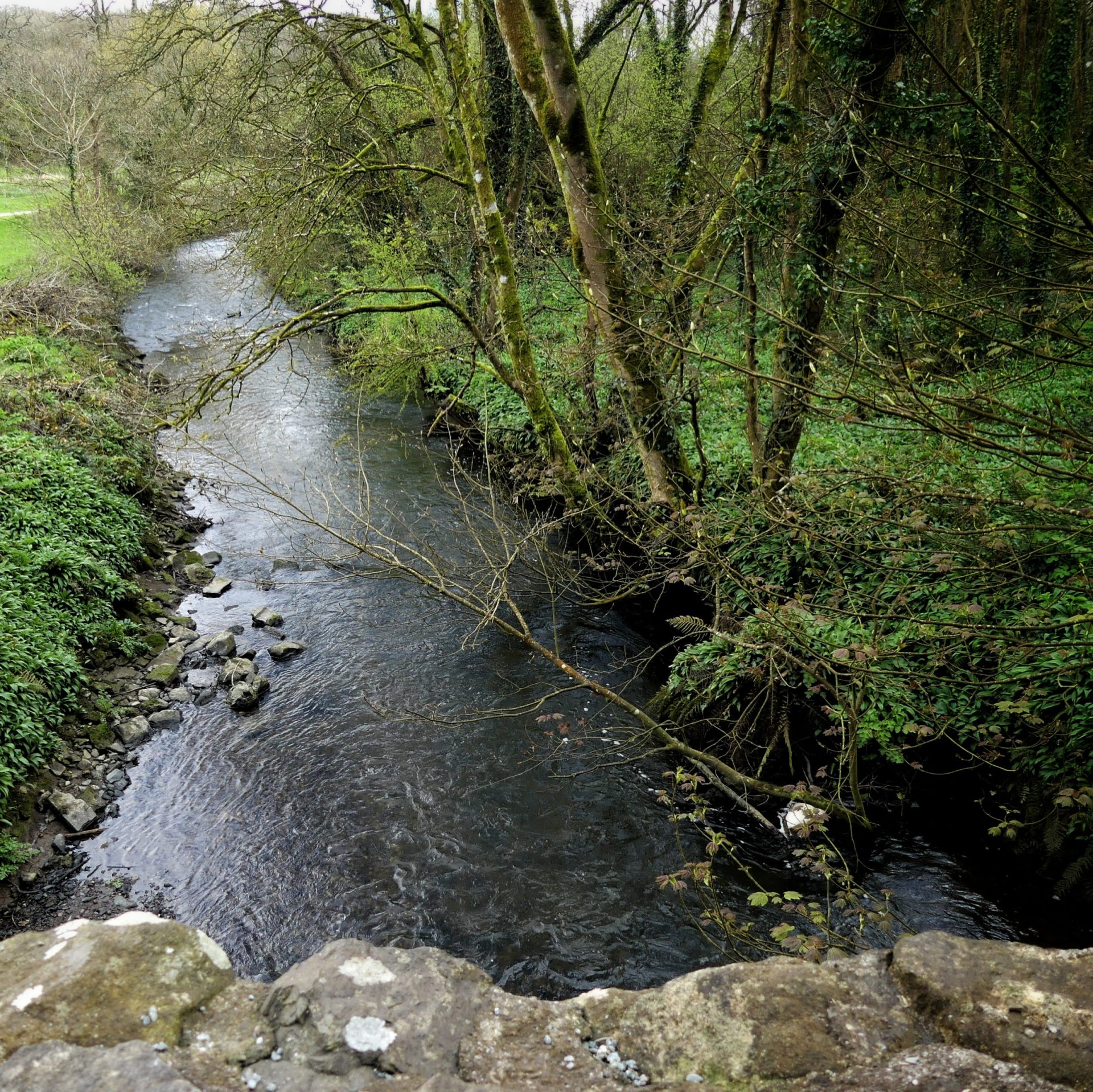 Catching up, checking in