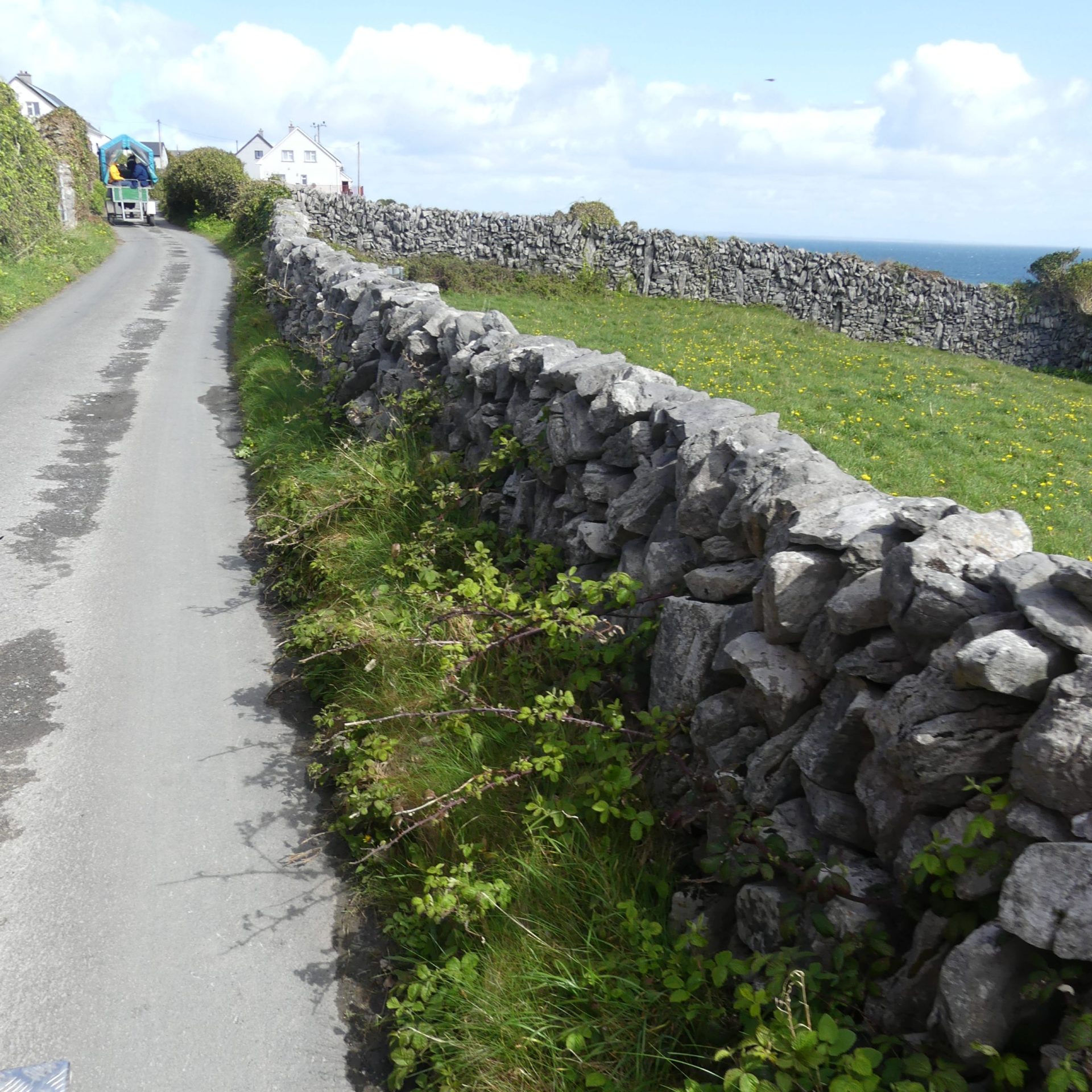 Aran Islands & Cliffs of Moher Day Tour (bus/ferry/Inisheer/more ferry/more bus)