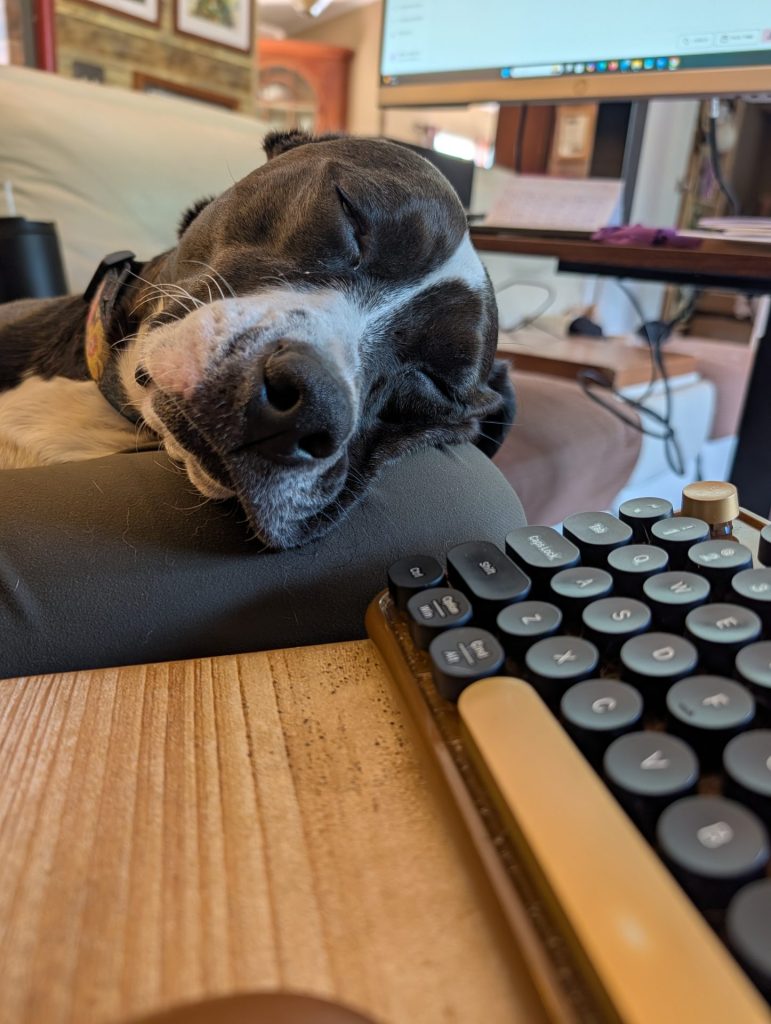 A dog asleep on a woman's bent leg. Between the dog and the camara is a lap desk with a keyboard on it. 